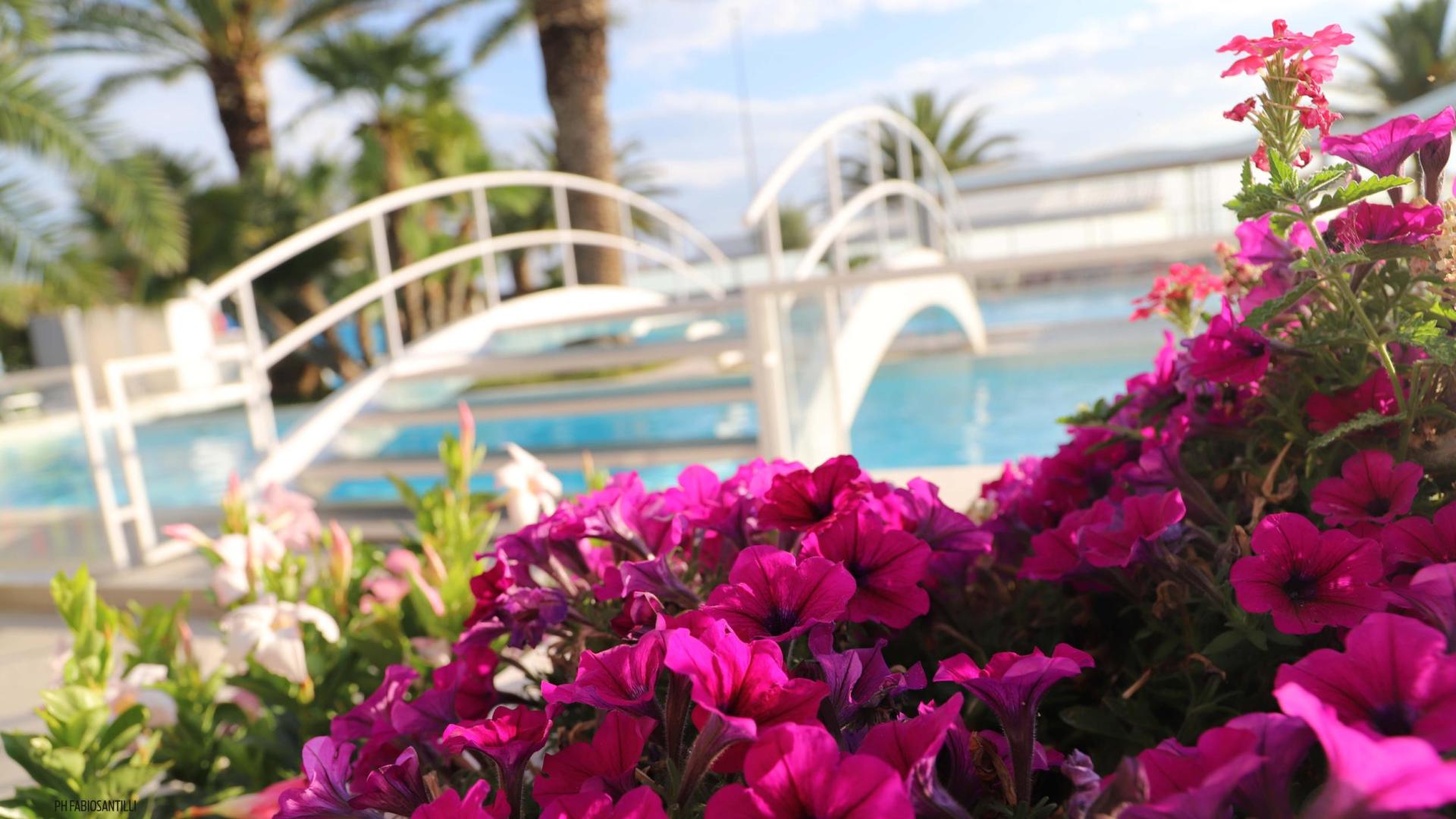 Fiori fucsia in primo piano, ponte bianco e piscina sullo sfondo.