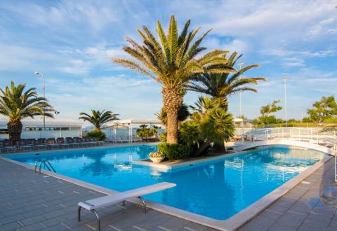 Piscina all'aperto con palme e cielo sereno, ambiente rilassante e tropicale.