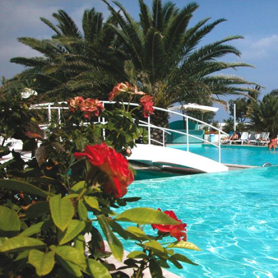 Piscina all'aperto con bambini che giocano, rose rosse e palme sullo sfondo.